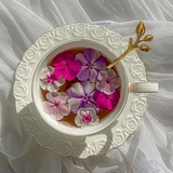 Telegram profile photo for المُزهِرة.