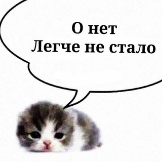 Telegram profile photo for Сашк