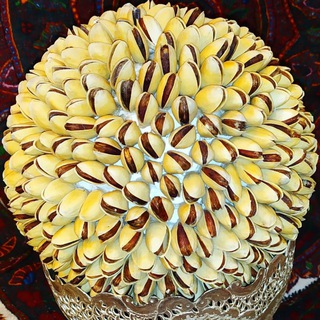 Telegram profile photo for رفپسته