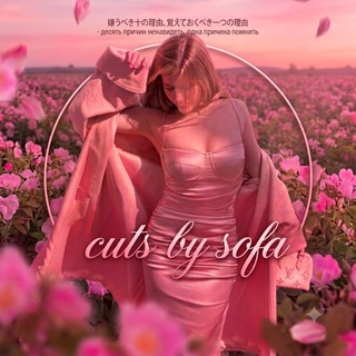 Telegram profile photo for cuts by sofa