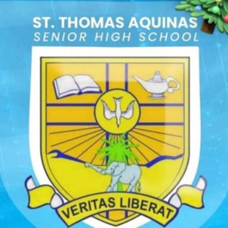 Telegram profile photo for AQUINAS.OFFlCIAL💙💛