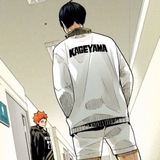 Telegram profile photo for Novel