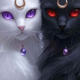 Telegram profile photo for Mr