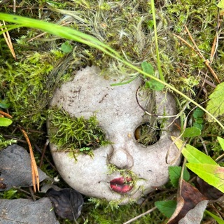 Telegram profile photo for MoM Plants