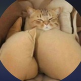 Telegram profile photo for ๐๐๐ฟ๐๐ป๐ฎ๐ฟ๐ถ ๐ฆ