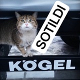 Telegram profile photo for SOTILDI FURA BOZOR