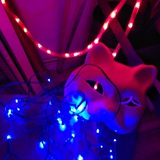Telegram profile photo for jupiter cat