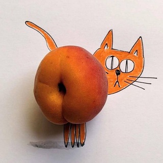 Telegram profile photo for Содом и умора