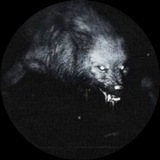 Telegram profile photo for caterpillar turn into butterfly (🔗)