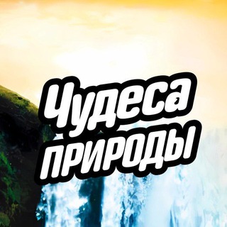 Telegram profile photo for Чудеса природы