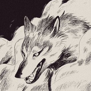 Telegram profile photo for Verg store ⋆。𖦹°‧