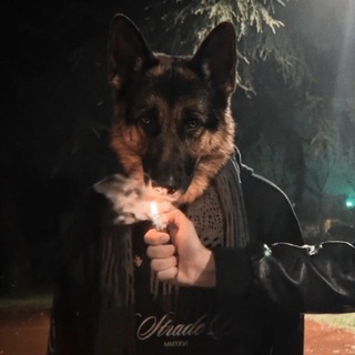Telegram profile photo for Meds n Music (PLA$TIC)