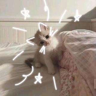 Telegram profile photo for › ࣪ . ˚𝙢𝙞𝙡𝙚𝙚𝙨 ! ! ׁ ׅ ⋆ ⌢