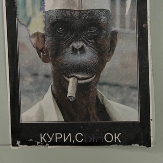 Telegram profile photo for существование.