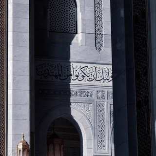 Telegram profile photo for مَعقِل
