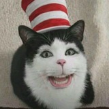 Telegram profile photo for Гаврик Шалун