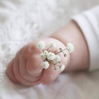 Telegram profile photo for لن أبرح حتى أبلغ 🌍🌱