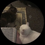 Telegram profile photo for أمّـان .