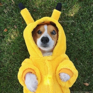 Telegram profile photo for LUCKY BOBO CONFESSION