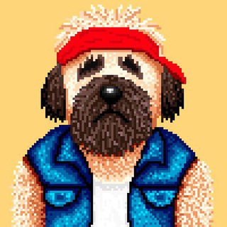 Telegram profile photo for CHUCK Official Telegram