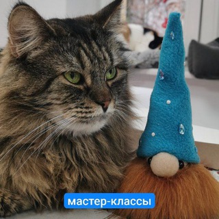 Telegram profile photo for Мяу Мяу Котокафе КЛД 🐾мастер - классы