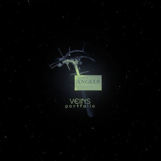 Telegram profile photo for переход veins port