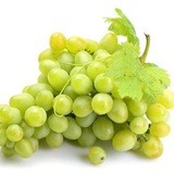 Telegram profile photo for GRAPE | SOCCER MANAGER 26 - WORLD SOCCER CHAMPS