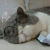Telegram profile photo for 『Offline』