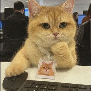 Telegram profile photo for روزمرگی ها 🌿