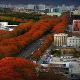 Telegram profile photo for خیابان پهلوی | Pahlavi Street