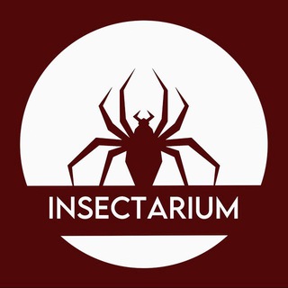 Telegram profile photo for инсектариум