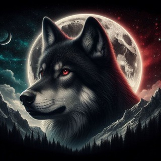Telegram group profile photo for πππ π€π«ππ© πππ¨ππ¦ππ§π‘ππ§π πΊ