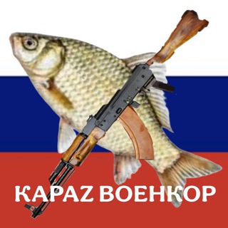 Telegram profile photo for КараZ Vоенкор