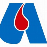Telegram profile photo for Avis S. Stefano Quisquina