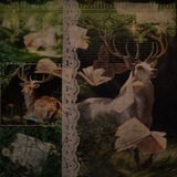 Telegram profile photo for Deer is a writer