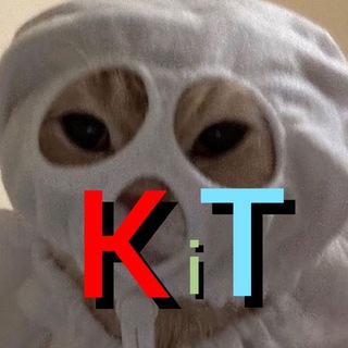 Telegram profile photo for коти і тероризм