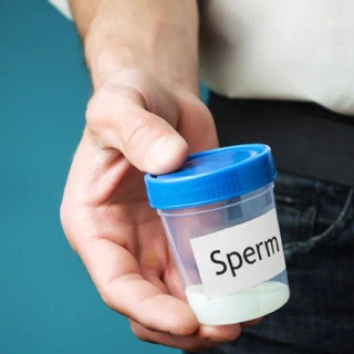 Telegram profile photo for Sperm Donor Kerala