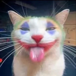 Telegram group profile photo for Самопиар Молодого Клоуна