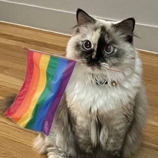 Telegram profile photo for Знакомства Uzbekistan🏳️🌈