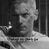 Telegram profile photo for یَََِِِاََِِدًََِِِ⃟ گَََِِِـًِِِـاََََِِِرَََِِِیَََِِِ⃠ڪَََِِِوَََِِِڪَََِِِاَََِِِیَََِِِنَََِِِ⃟ الفا ☻