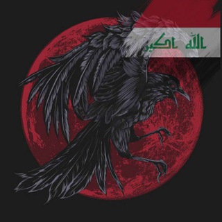 Telegram profile photo for استخراج الرقم السري | دوبامين