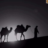 Telegram profile photo for جَاهِدْ