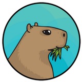 Telegram profile photo for News_capibara
