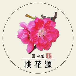 Telegram profile photo for 桃花源/油管充值、礼品卡代充、游戏代购、谷歌充值/vpn/软件/短信