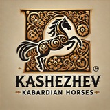 Telegram profile photo for Circassian equestrian