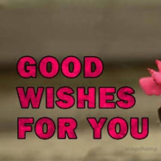 Telegram profile photo for All Good Wishes 🌼🌿