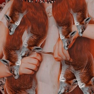 Telegram profile photo for winterhalter.