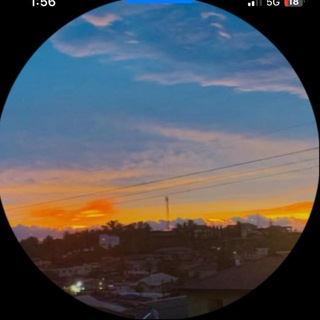 Telegram profile photo for BIGDEE Bets β½οΈ π π