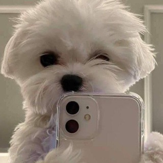 Telegram profile photo for ⎙ www.rules.com