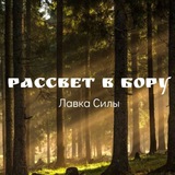 Telegram profile photo for РАССВЕТ В БОРУ. Лавка Силы